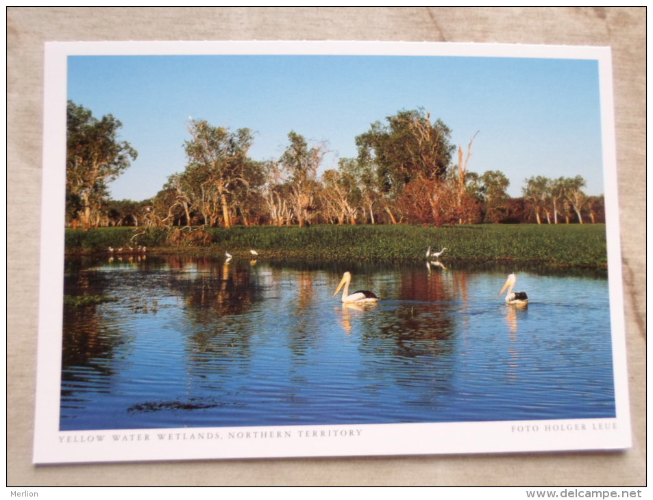 Australia  Yellow Waters Wetlands   im Kakadu N.P.  - Northern Territory  -  German  Postcard    D121178