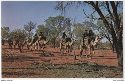 Australian Aborigines on Walkabout