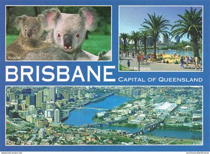 AUSTRALIE - Brisbane - Capital of Queensland - Koalas - South Brisbane - City of Brisbane - Carte Postale