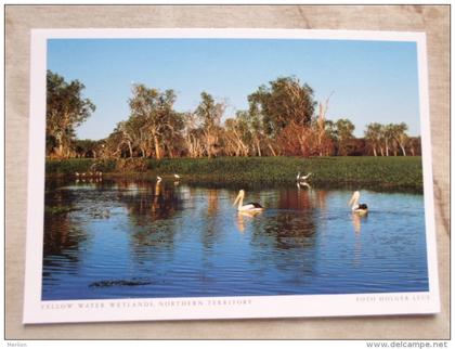 Australia  Yellow Waters Wetlands   im Kakadu N.P.  - Northern Territory  -  German  Postcard    D121178