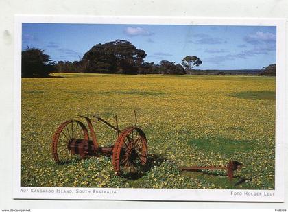 AK 145752 AUSTRALIA - South Australia - Auf Kangeroo Island