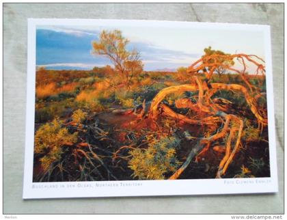 Australia  -  The Olgas  - Uluru N.P.  Bushland  -  Northern Territory  -  German  Postcard    D121202