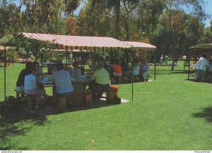 Picnic BBQ Grounds at Barossa Valley Seppeltsfield Australia Postcard