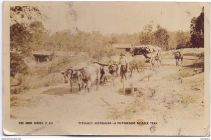 PC - Australia Australie - a Bullock Team - 1927