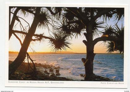 AK 131542 AUSTRALIA - Queensland - Sunshine Coast im Noosa Heads N. P.