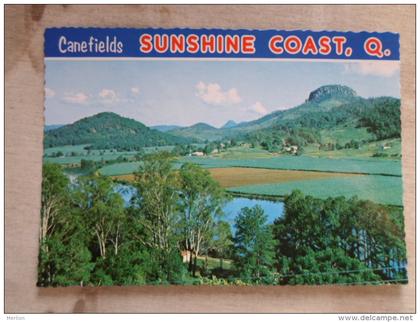 Australia  -Canefields  -Sunshine Coast -  Maroochy River near Nambour -  Queensland      D120689