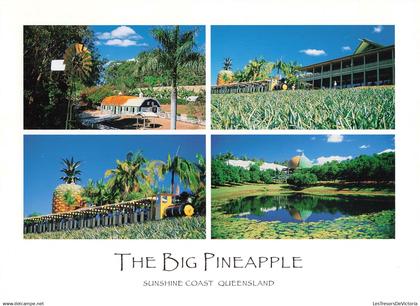 AUSTRALIE - Queensland -  Sunshine coast queensland - The Big Pineapple - Carte postale grand format moderne