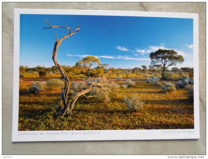 Australia  -Coober Pedy  -S.A. - German  Postcard    D120988