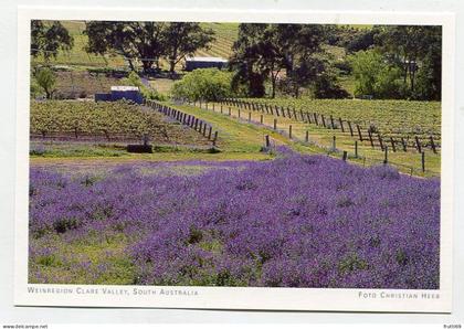 AK 131553 AUSTRALIA - SA - Weinregion Clare Valley