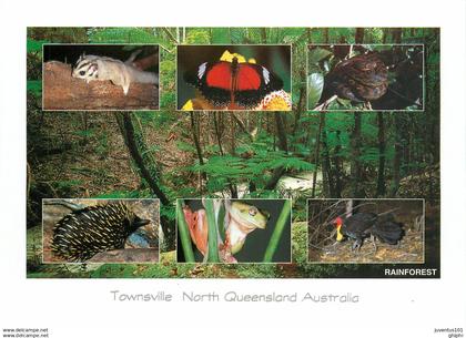 CPSM Townsville-Rainforest     L2841