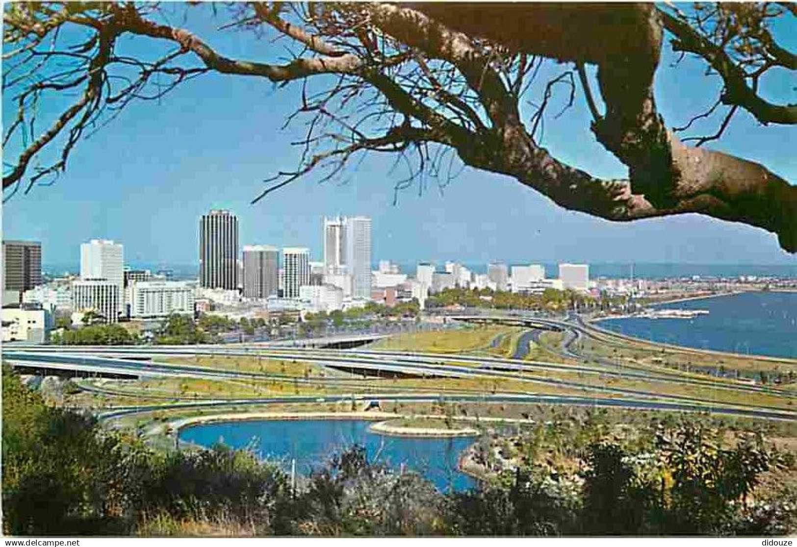 Australie - Perth on the Swan River from Kings Park - CPM - Voir Scans Recto-Verso