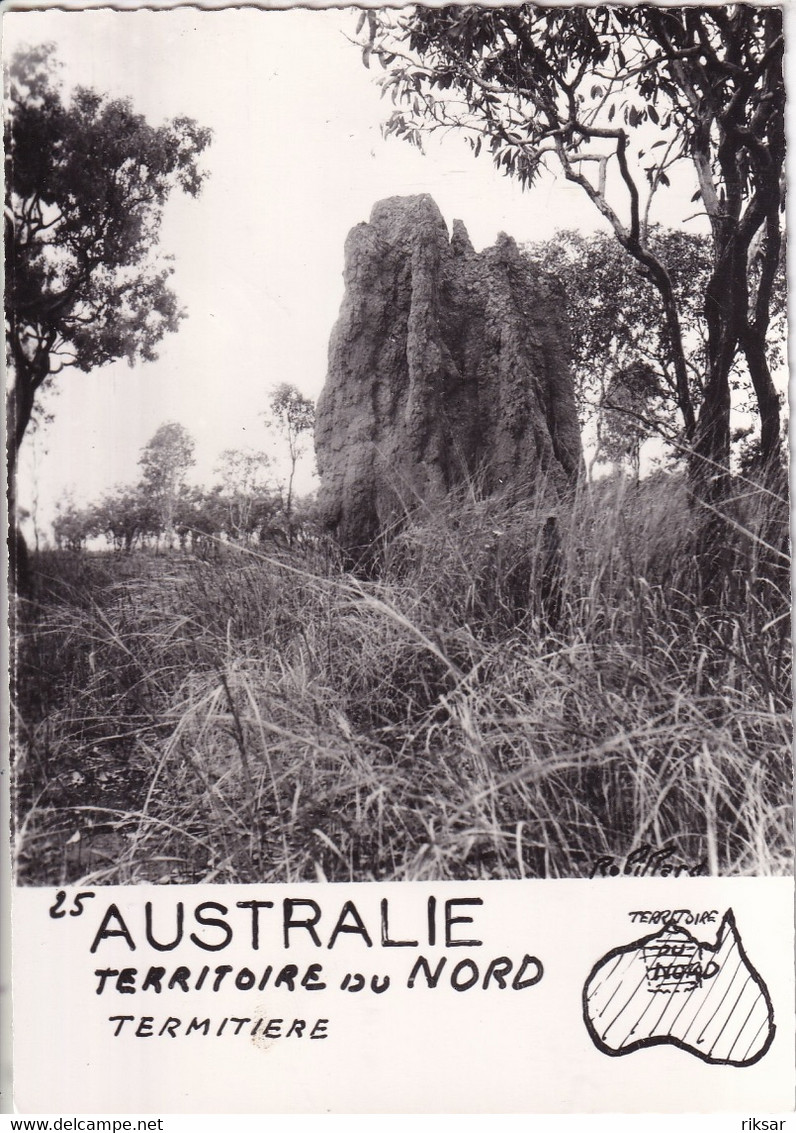 AUSTRALIE(TERMITIERE)