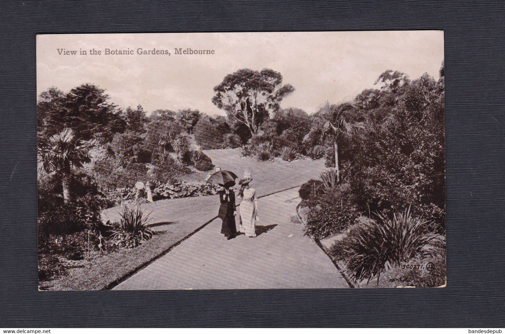 Australie VIC Melbourne View in the Botanic Gardens   ( animée femmes elegantes 49392)