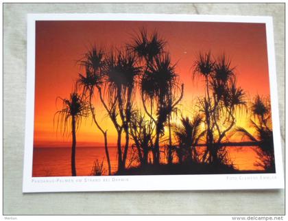 Australia -  Pandanus Palmen  am Strand bei  DARWIN - NT  -   German  Postcard    D121089