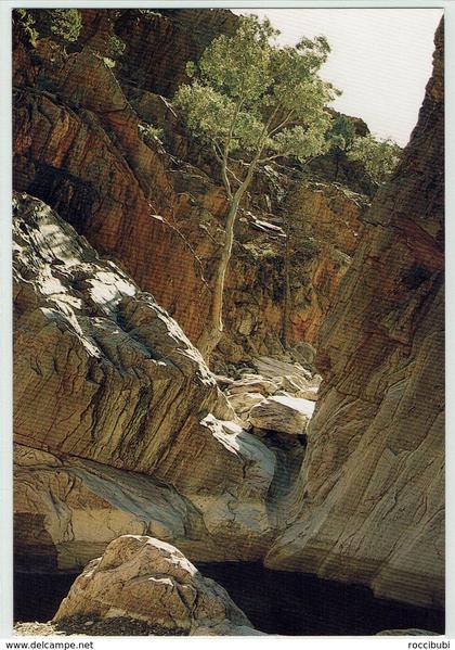 Australien, Northern Flinders Ranges