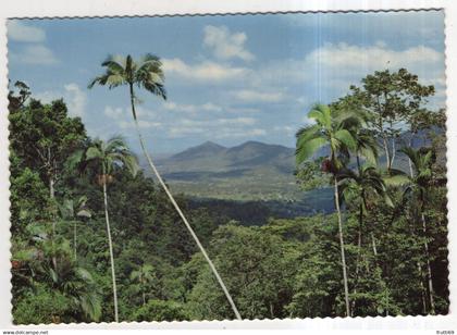 AK 228503 AUSTRALIA - Pioneer Valley from Eungella Range near Mackay