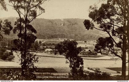 australia, SA, CARMINOW, Panorama, RPPC Postcard