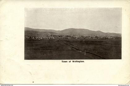 australia, SA, WELLINGTON, Panorama (1910s) Postcard