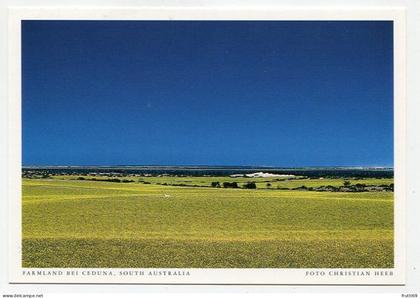 AK 131555 AUSTRALIA - SA - Farmland bei Ceduna