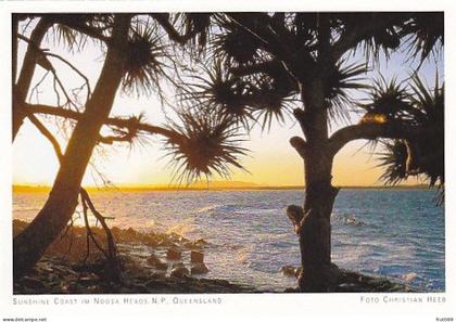 AK 186960 AUSTRALIA - Sunshine Coast im Noosa Heads N.P.