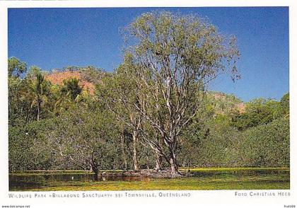 AK 186973 AUSTRALIA - Wildlife Park Billabong Sanctuary bei Townsville