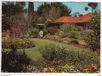 AK 233070 AUSTRALIA - Toowoomba - colourful home garden of flowers