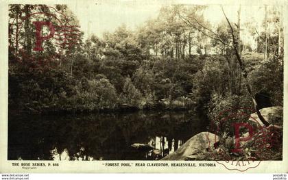 Forest pool near Claverton Healesville VIC Victoria  AUSTRALIA