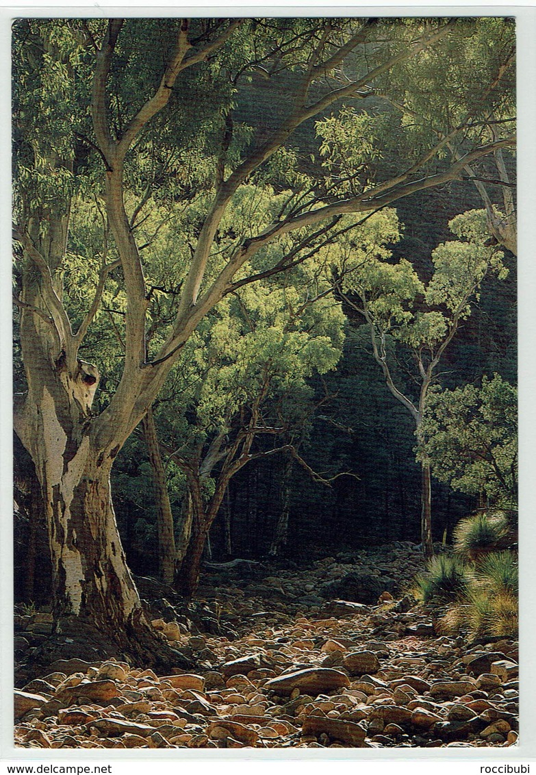 Australien, North Flinders Ranges