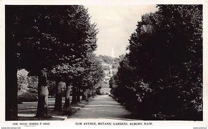 Australia - ALBURY (NSW) Elm Avenue, Botanic Gardens - REAL PHOTO - Publ. The Rose Series 8565