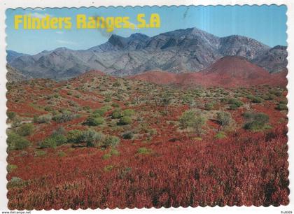 AK 228456 AUSTRALIA - Flinders Ranges