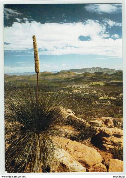 Australien, South Australia, Flinders Ranges