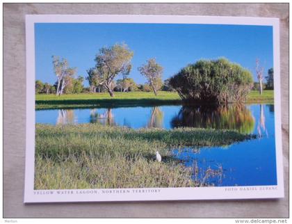 Australia  Yellow Waters Lagoon   im Kakadu N.P.  - Northern Territory  -  German  Postcard    D121177