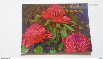 D167120   Australia  - Greetings from WOLLONGONG -NSW  Waratah