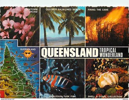 Australie - Australia - Queensland - Tropical Wonderland - Multivues - Poissons - CPM - Voir Scans Recto-Verso