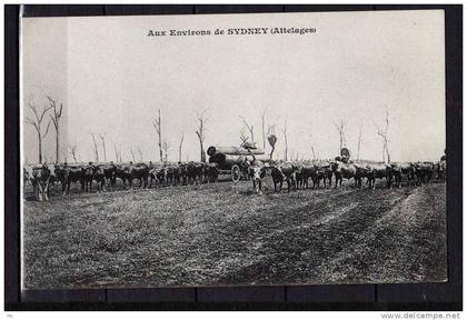 Australie - Aux environs de Sidney ( Attelages ) - Messageries Maritimes