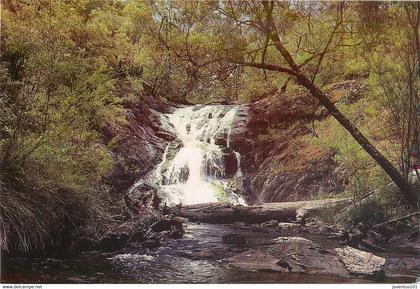 CPSM Beedelup Falls,Pemberton-Australia-Beau timbre      L684