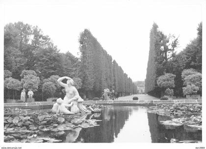 Autriche - Vienne - WIEN - Château de Schönbrunn - Parc et bassin