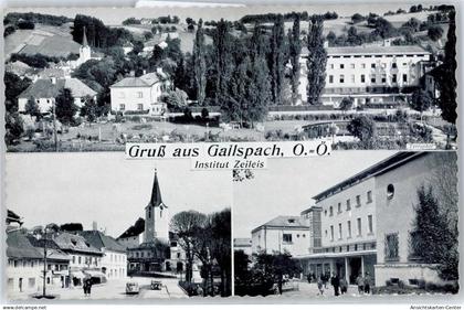 50665663 - Gallspach