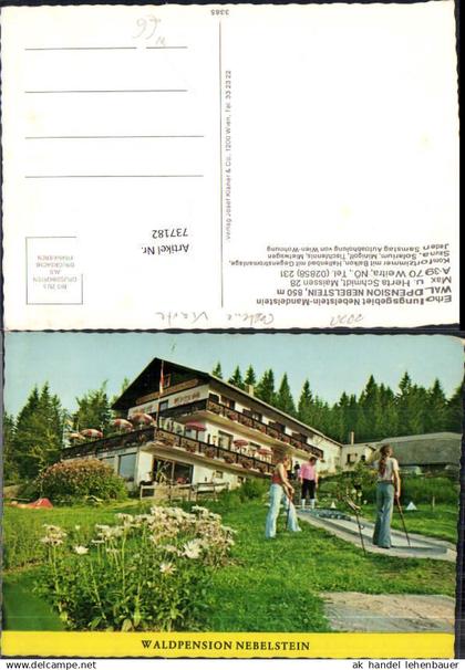 737182 seltene AK Weitra Pension Nebelstein Mandelstein