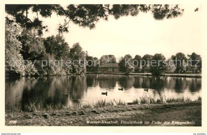 43014611 Wiener Neustadt Park der Kriegsschule Wiener Neustadt