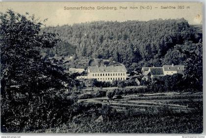 51795993 - Gruenberg