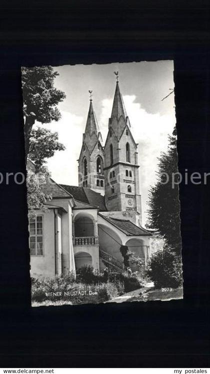 71504735 Wiener Neustadt Dom Wiener Neustadt