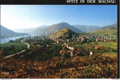 72455691 Spitz Donau Wachau Weingaerten Tausendeimerberg Donautal Spitz Wachau D