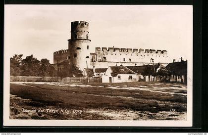 AK Laa an der Thaya, Burg