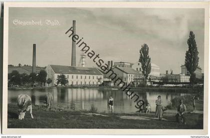 Siegendorf - Burgenland - Foto-Ansichtskarte