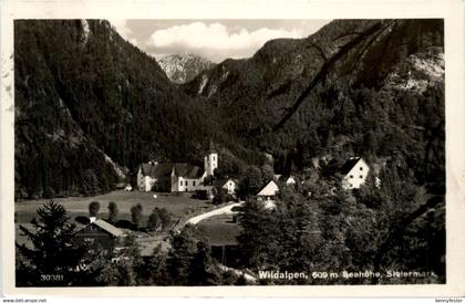 Wildalpen