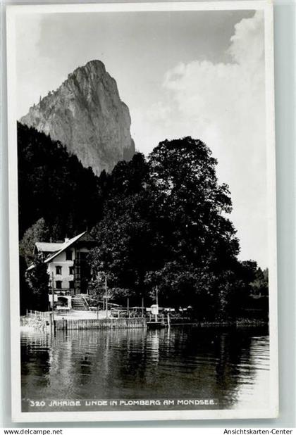 39383062 - Mondsee