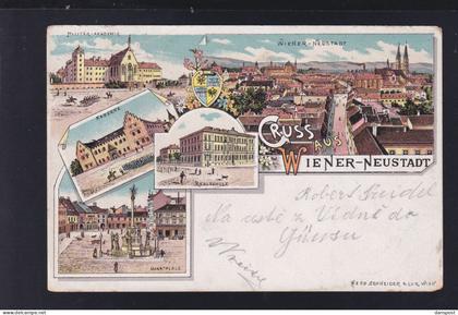 Österreich Litho Wiener Neustadt 1902 gelaufen