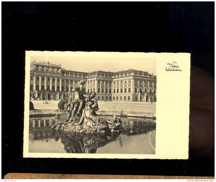 WIEN Schönbrunn 1952 ( Zensurstelle stamp )