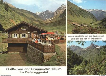 72018945 Defereggental Tirol Bruggeralm Alpenrosenbluete Rot Weissspitze